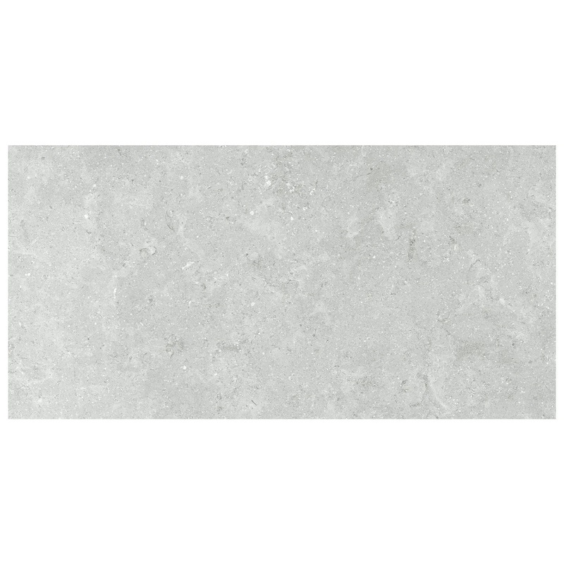 12″ x 24″ Coliseo Platinum Matte Porcelain Tile 12″ x 24″