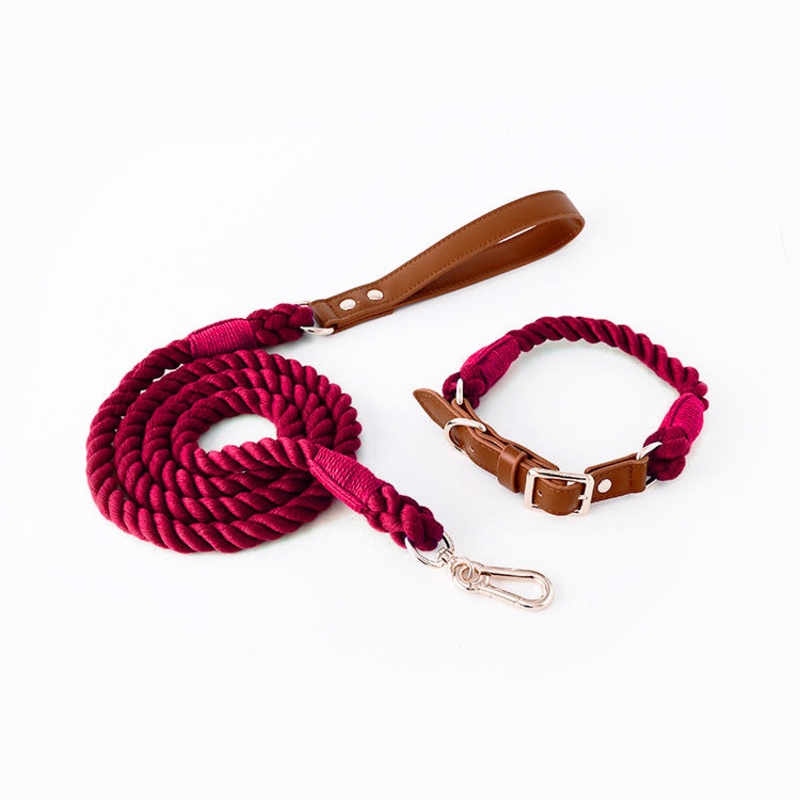 Premium Leather Pet Collar and Leash – Soft, Strong Braided Rope (Wine red – Size S)