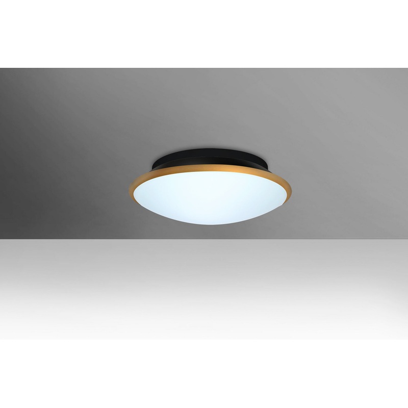LED Ceiling Mount from the Silk 10 Collection by Besa