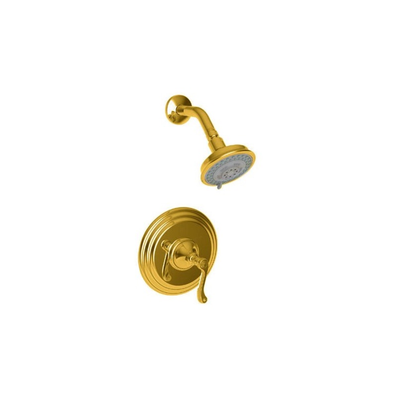 Amisa Pressure Balance Shower Trim with Lever Handle – Satin Gold PVD