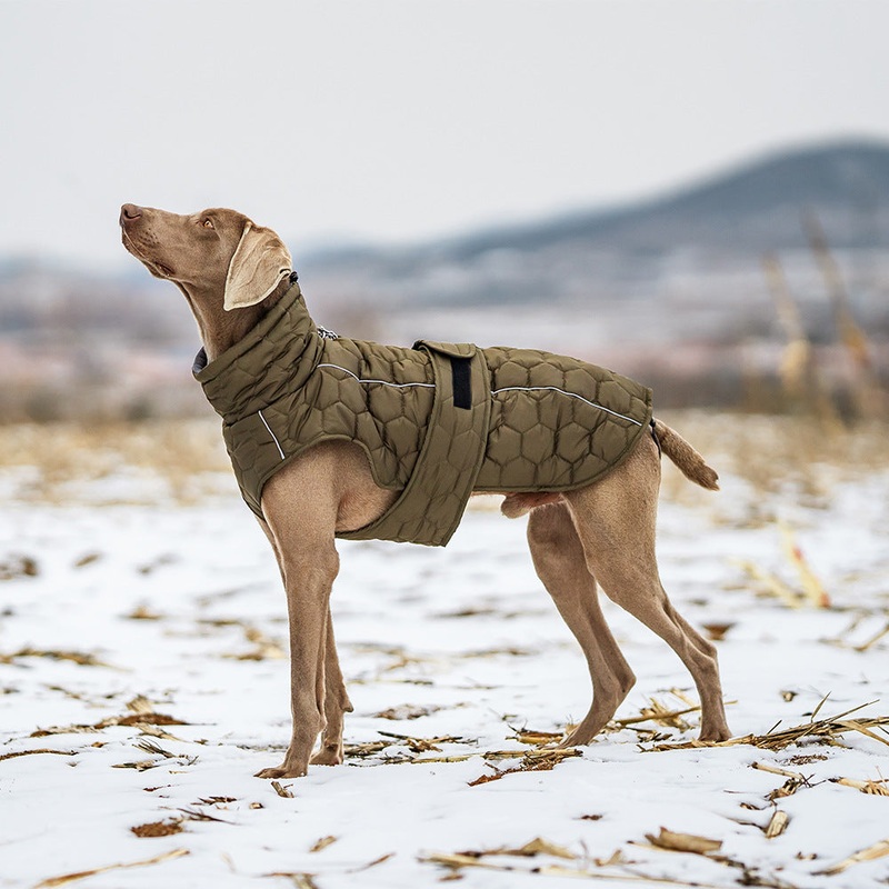 Size S Olive Green Warm Quilted Dog Winter Coat – Adjustable Fleece-Lined Puffer Vest with Reflective Trim & Leash Port