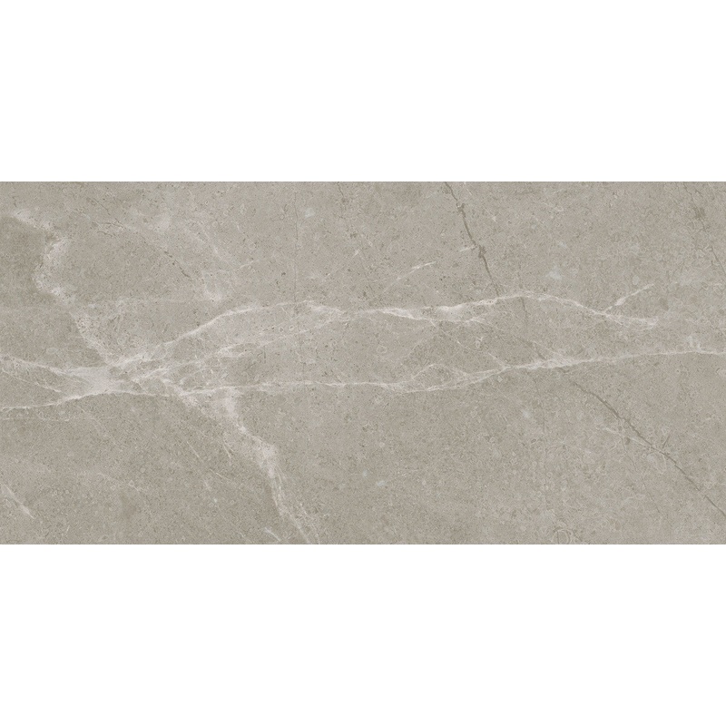 12″ x 24″ Torino Vanizio Matte Porcelain Tile 69-397