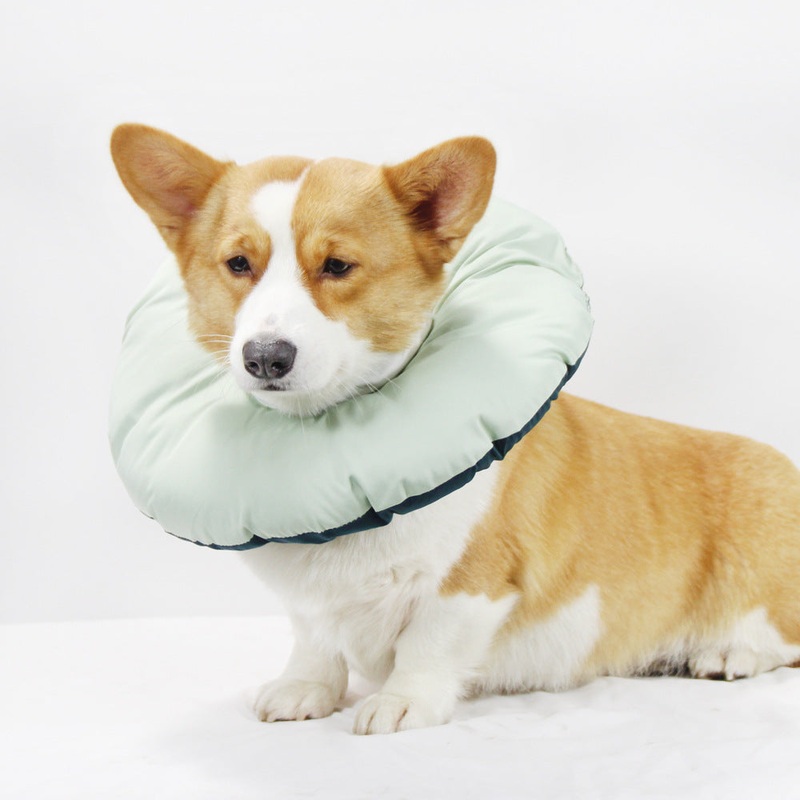 Green Adjustable Soft Elizabethan Collar for Pets – Comfortable Recovery Aid – M