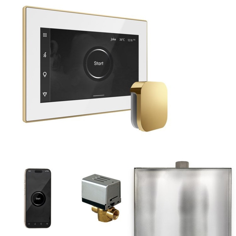 Steam Kit xButler White/Polished Brass Control Package for MS90 to MSSUPER3