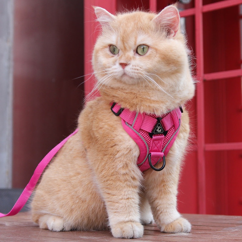 Rose Red Reflective Mesh Dog Harness and Leash Set – Adjustable No-Pull Vest – S