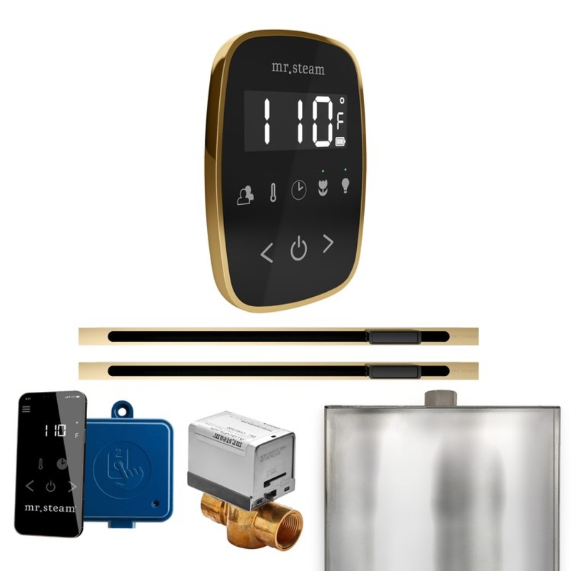 Steam Kit ButlerFlex Max Linear Black/Polished Brass Control Package for MS4/MS5/MX6