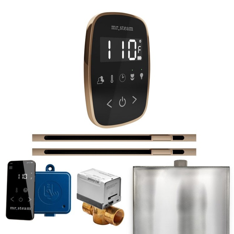 Steam Kit ButlerFlex Max Linear Black/Polished Gold Control Package for MS4/MS5/MX6