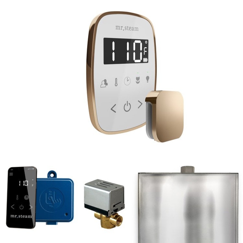 Steam Kit ButlerFlex White/Polished Gold Control Package for MS90 to MSSUPER3