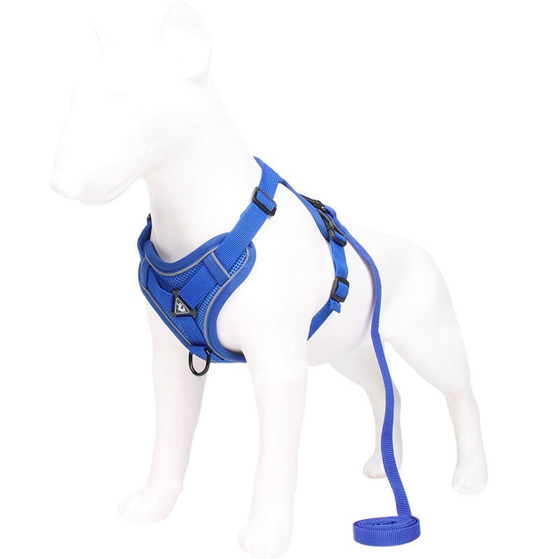Blue Reflective Mesh Dog Harness and Leash Set – Adjustable No-Pull Vest – L