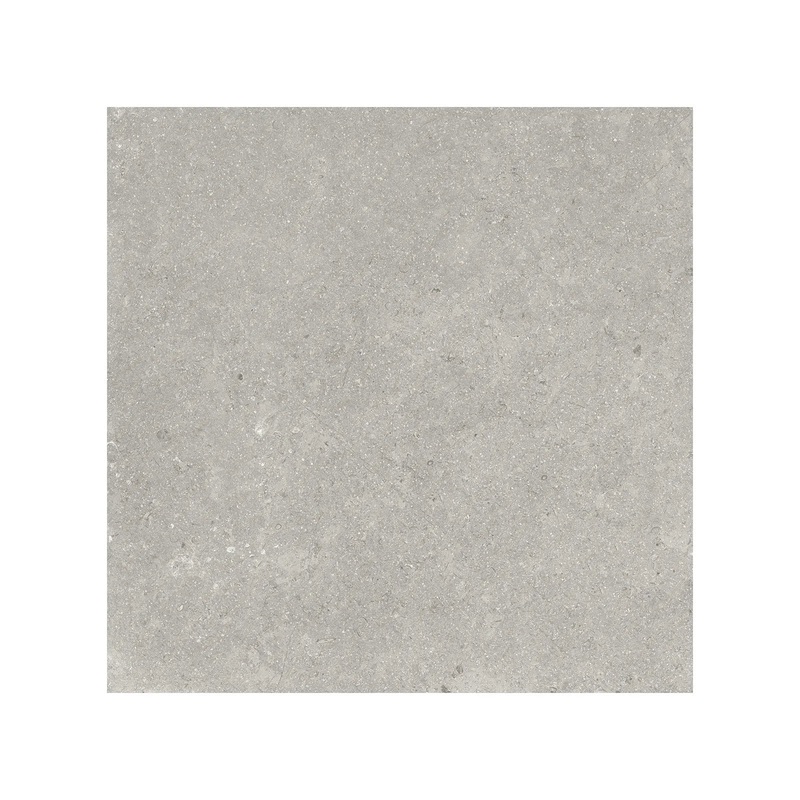 20″ x 20″ Coliseo Graphite Matte Porcelain Tile 20″ x