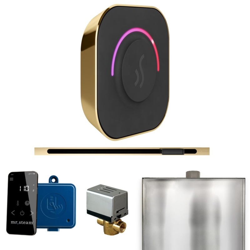 Steam Kit ButlerTouch Linear Polished Brass Control Package for MS90 to MSSUPER3